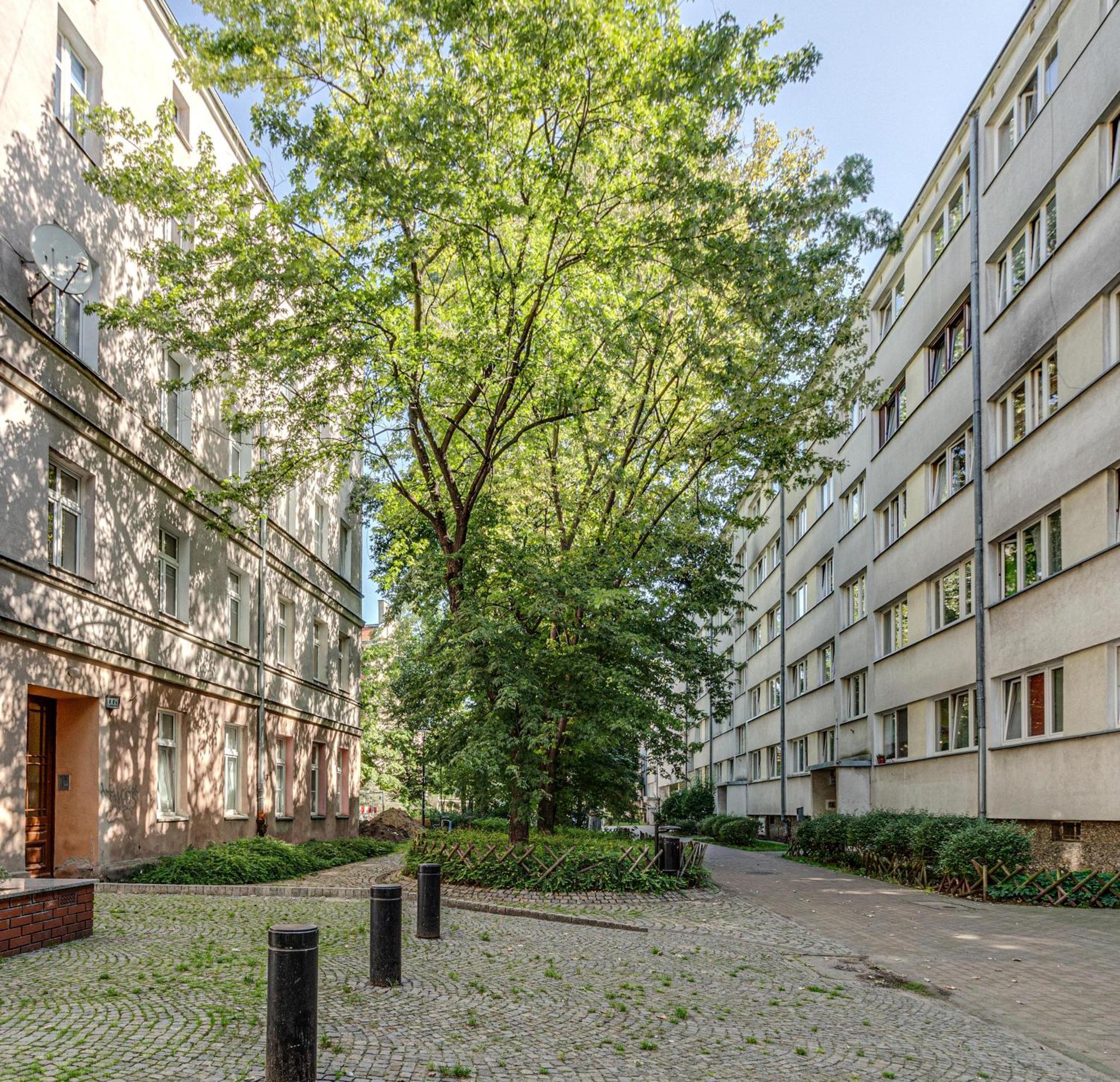 Rentplanet - Studio Nadodrze Wroclaw Ngoại thất bức ảnh