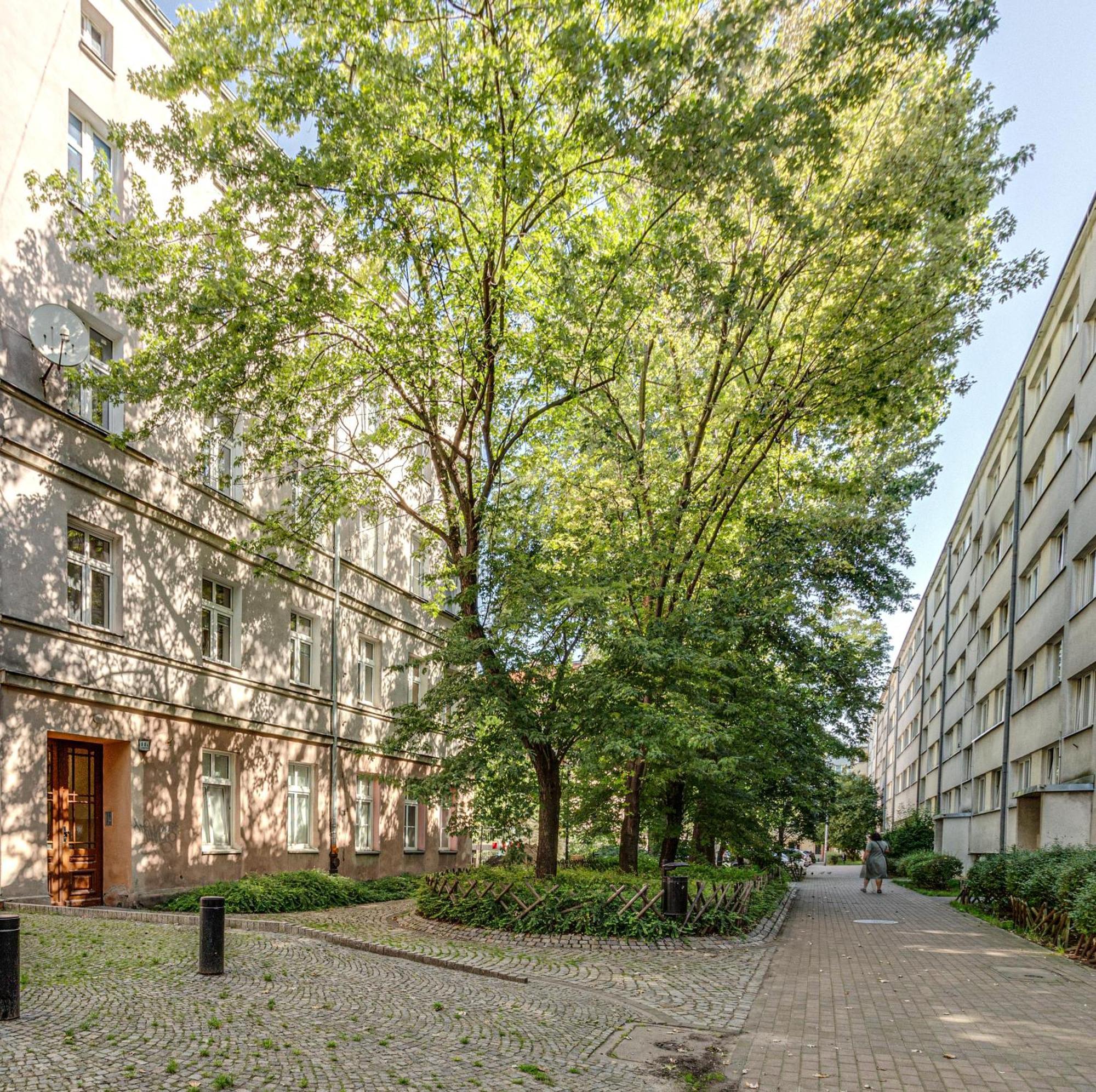 Rentplanet - Studio Nadodrze Wroclaw Ngoại thất bức ảnh